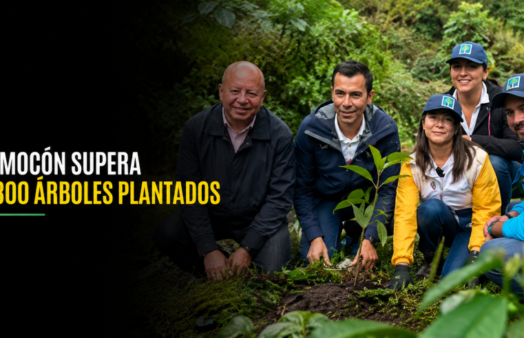 🌳 |Nemocón| supera los 5.300 árboles sembrados, ¿por qué fue elegido para un importante hito ambiental?