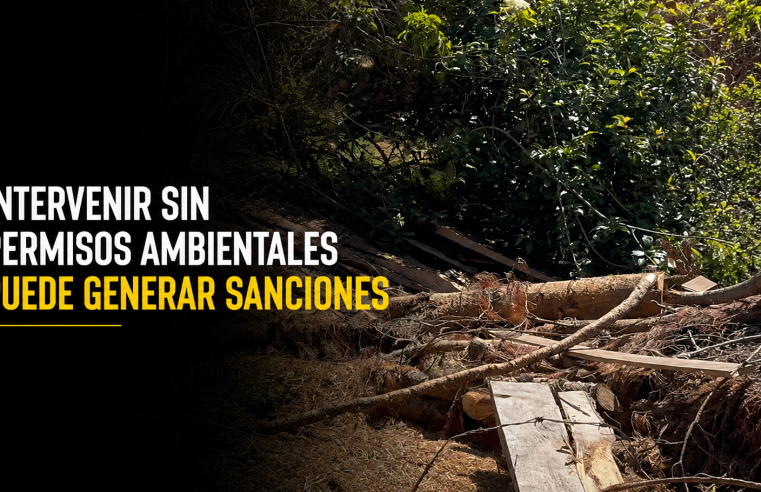 🌿 Intervenir un predio sin permisos ambientales puede generar sanciones, ¿por qué es importante cumplir la normativa? + Video