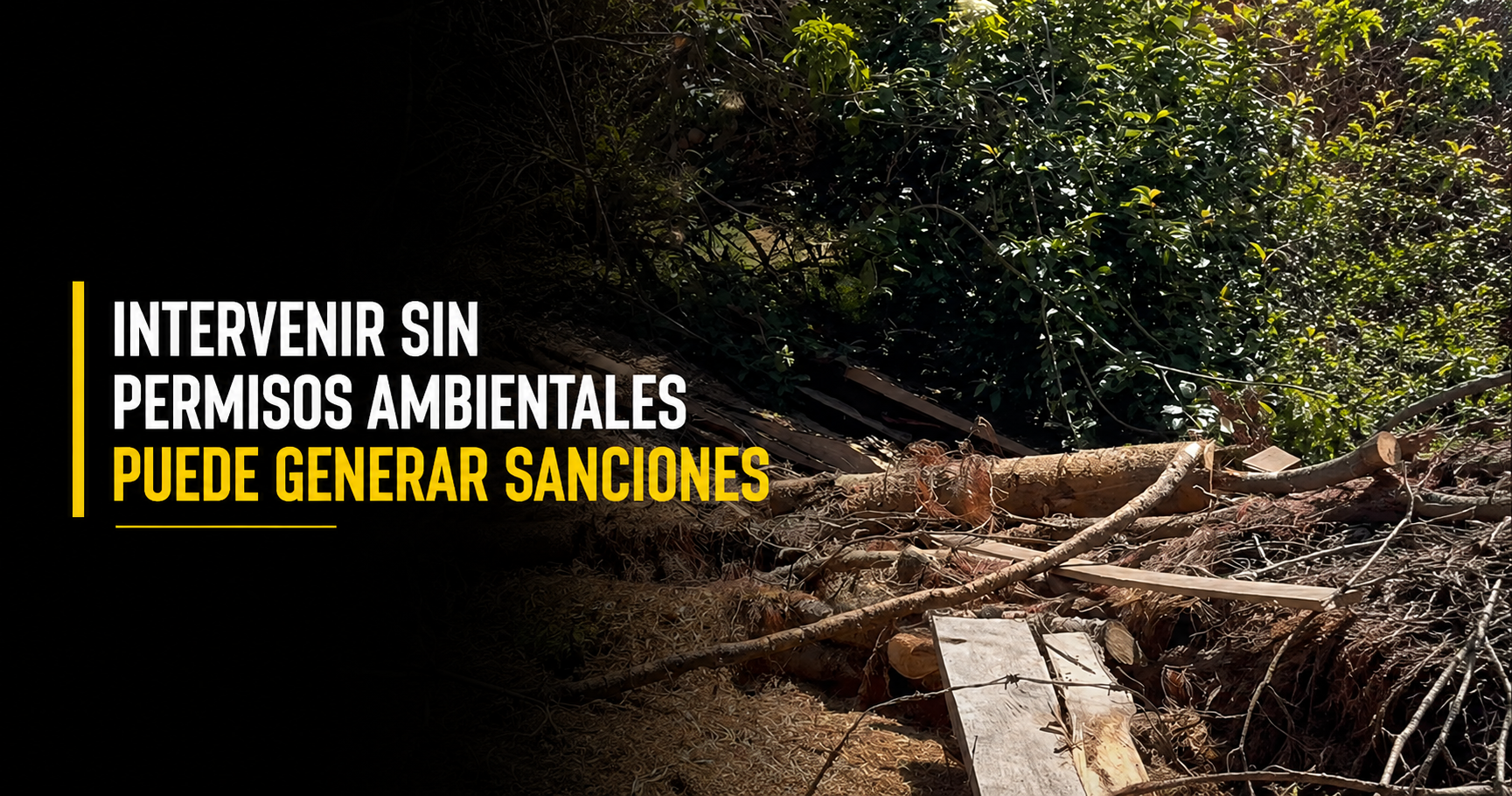 🌿 Intervenir un predio sin permisos ambientales puede generar sanciones, ¿por qué es importante cumplir la normativa? + Video