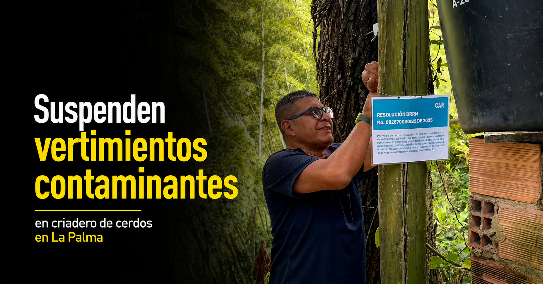 🚨 Suspenden vertimientos contaminantes en criadero de cerdos en |La Palma|, ¿qué afectaciones se estaban generando? + Video