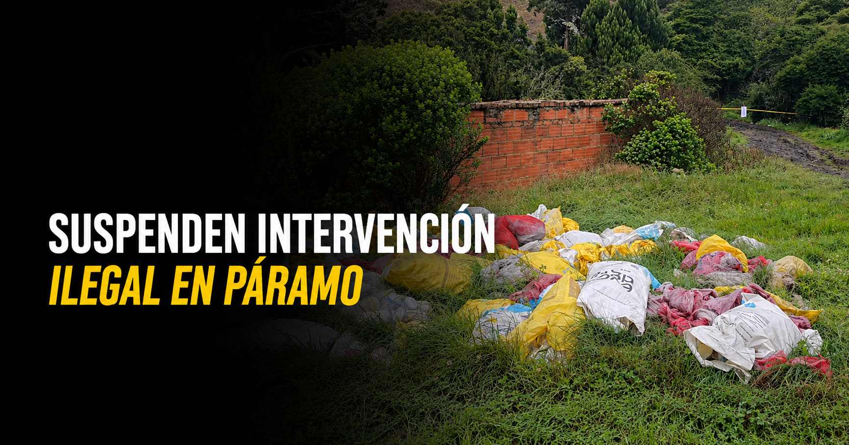 🌿 Suspenden intervención ilegal en el |páramo de Rabanal|, ¿qué riesgos detectaron las autoridades? + Video