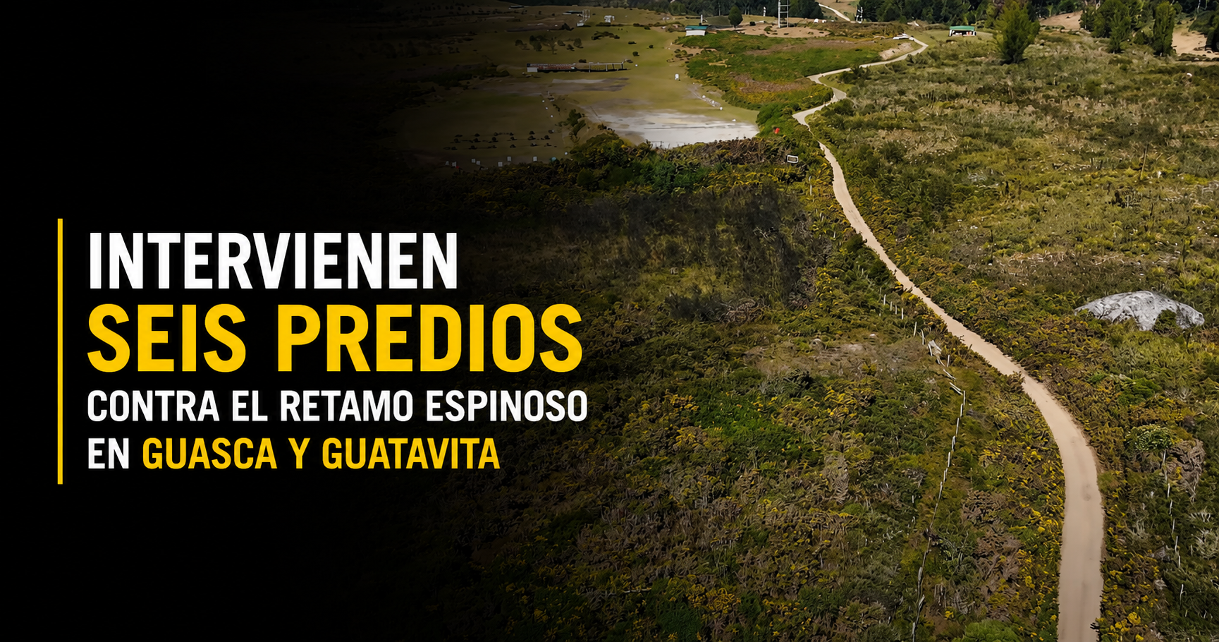 🌿 Intervienen seis predios para controlar el retamo espinoso en |Guasca| y |Guatavita| + Video