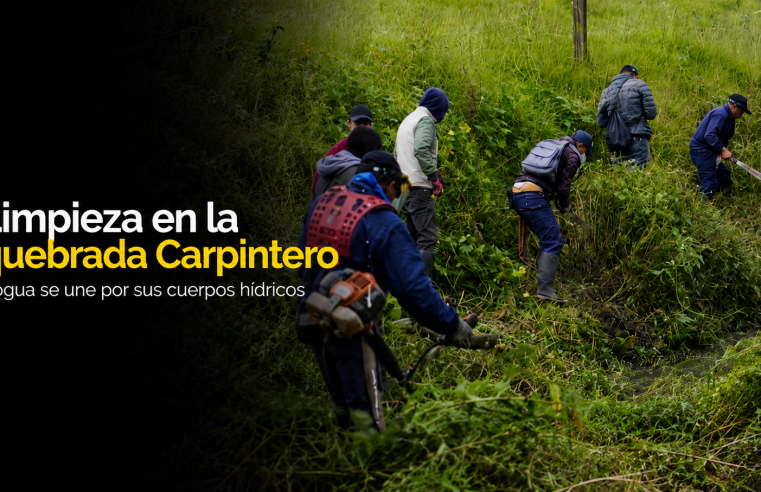 💧 |Cogua| realizará jornada de limpieza en la |quebrada Carpintero|