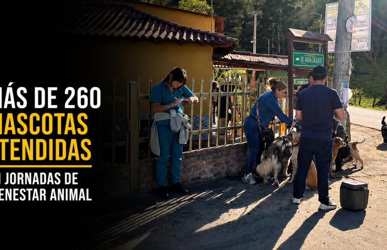 🐶 Más de 260 |perros| y |gatos| han sido atendidos en jornadas de |bienestar animal|