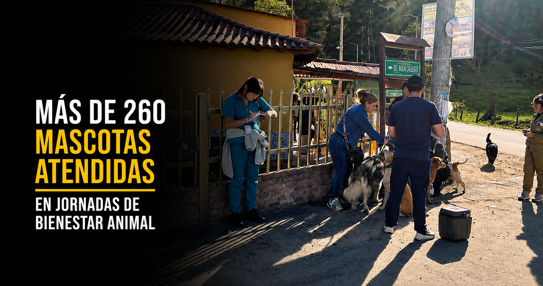 🐶 Más de 260 |perros| y |gatos| han sido atendidos en jornadas de |bienestar animal|