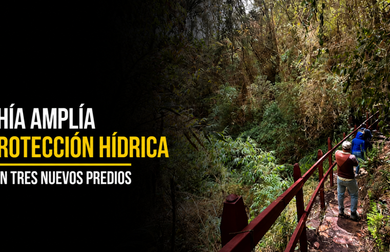 ? |Chía| amplía sus áreas de |protección hídrica| con la compra de tres nuevos predios