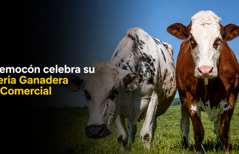 ? |Nemocón| invita a participar en la |Feria Ganadera| y Comercial