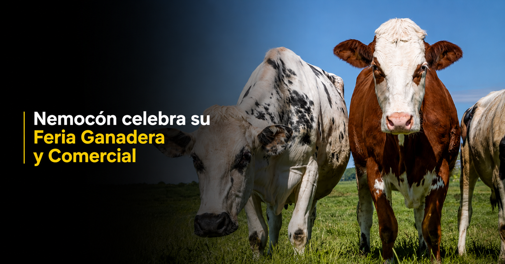 🐄 |Nemocón| invita a participar en la |Feria Ganadera| y Comercial