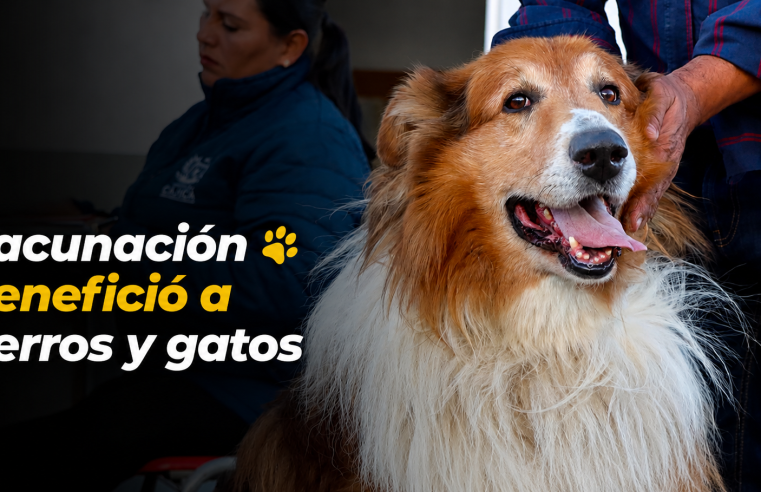 ? Jornada de vacunación benefició a perros y gatos en el sector El Misterio