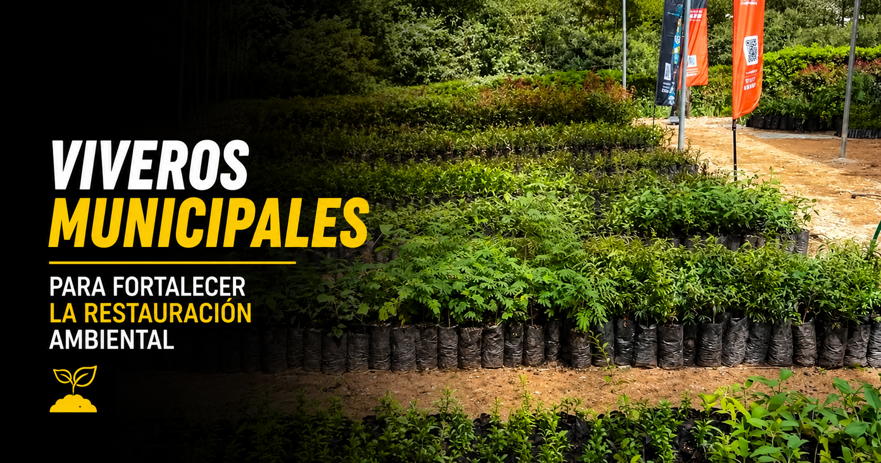 🌱 |CAR| impulsa viveros municipales para fortalecer la |restauración ambiental| + Video