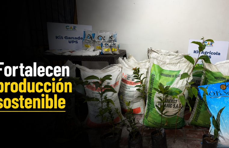 ? |Cundinamarca| fortalece la |producción sostenible|, ¿qué avances ha logrado? + Video