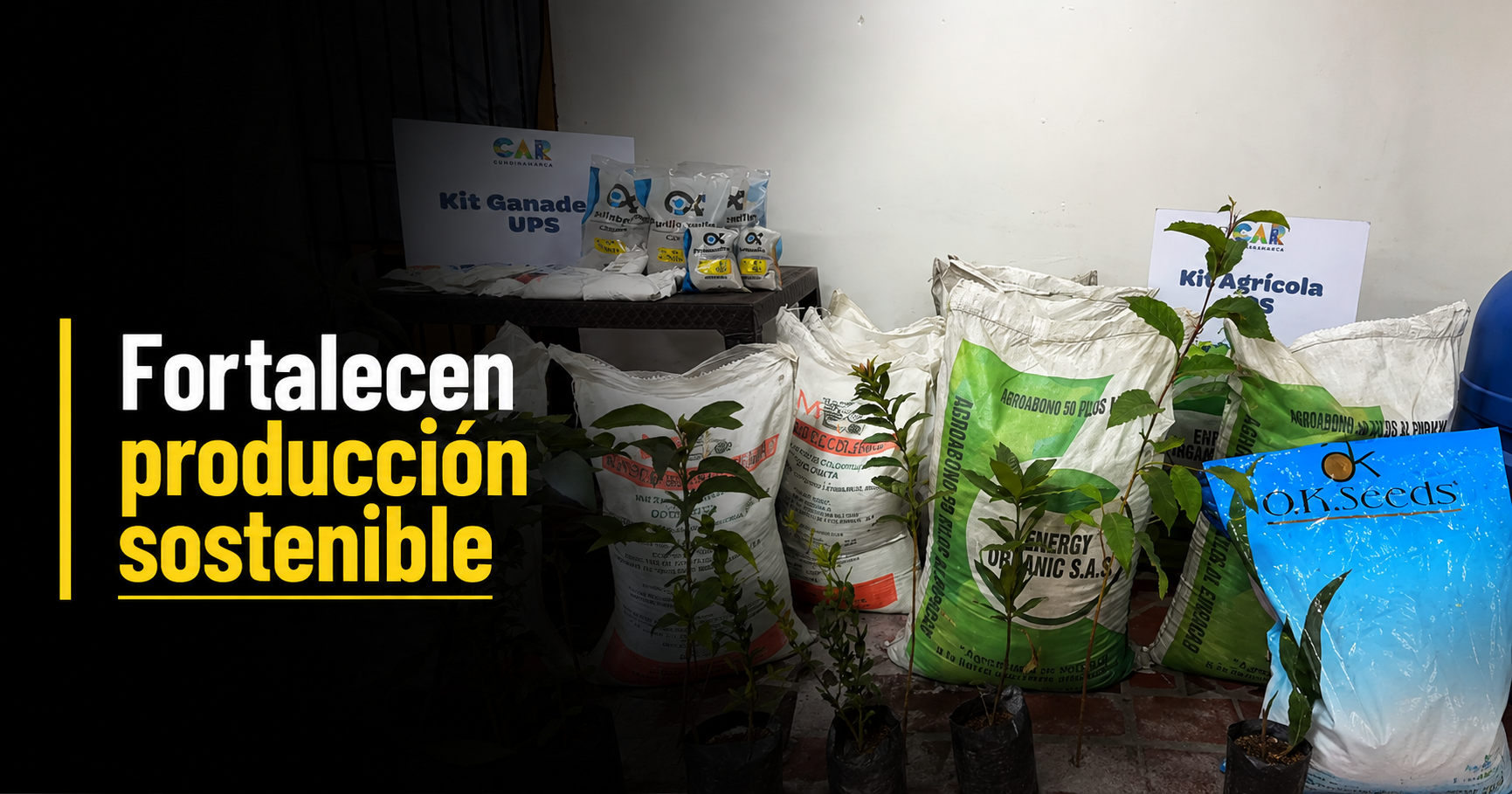 🌱 |Cundinamarca| fortalece la |producción sostenible|, ¿qué avances ha logrado? + Video
