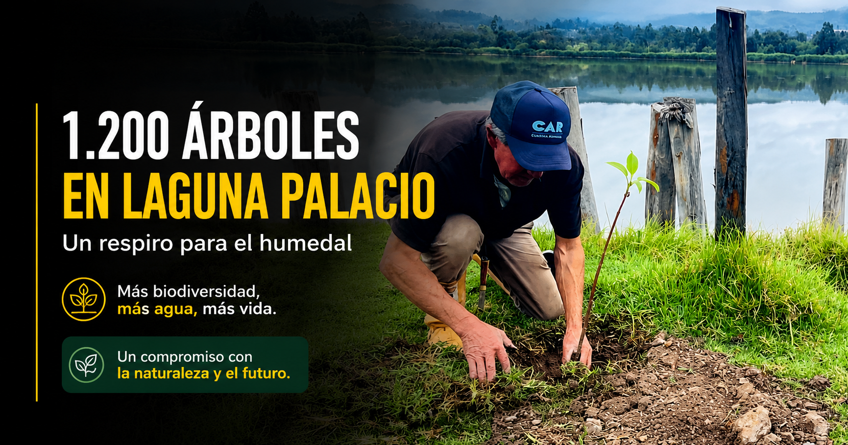🌳 Sembraron 1.200 árboles en la |Laguna Palacio|, ¿cómo ayudará al humedal?