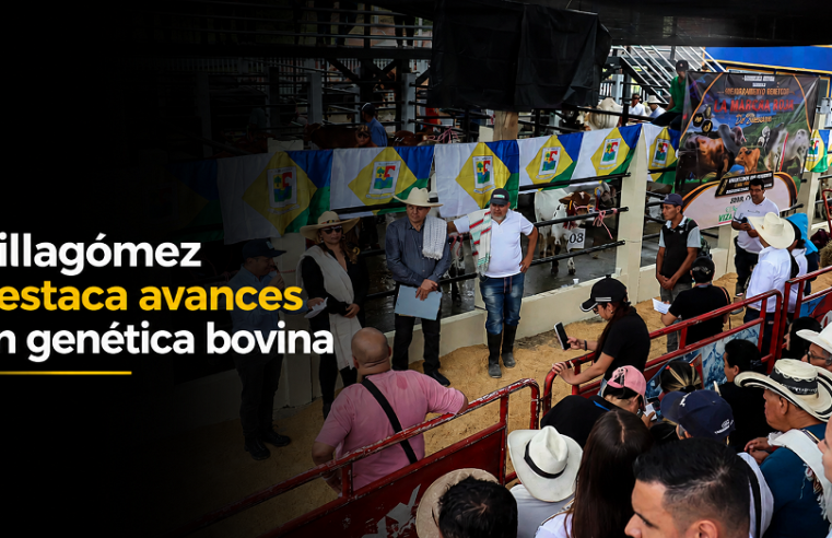 🐄 |Villagómez| destaca avances en |mejoramiento genético bovino|, ¿cuáles son sus resultados?