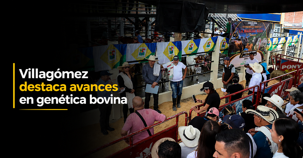 🐄 |Villagómez| destaca avances en |mejoramiento genético bovino|, ¿cuáles son sus resultados?