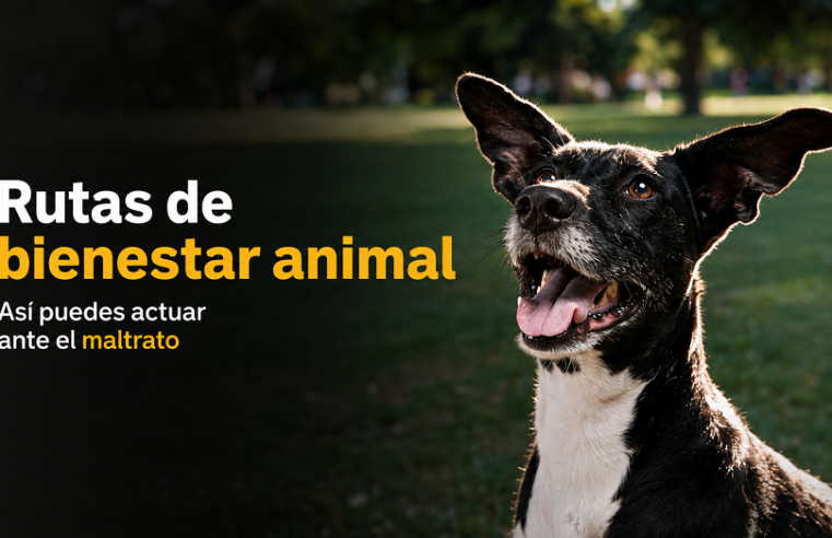|Cajicá| fortalece las rutas de |bienestar animal| 🐾 ¿Sabe cómo actuar ante un caso de maltrato?
