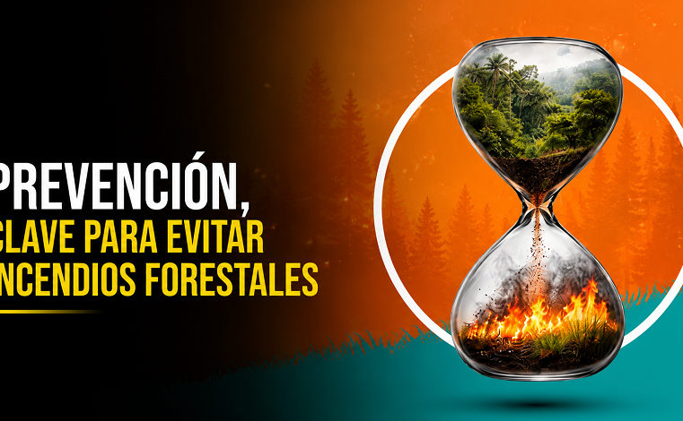🔥 |Prevención|, clave para evitar |incendios forestales|