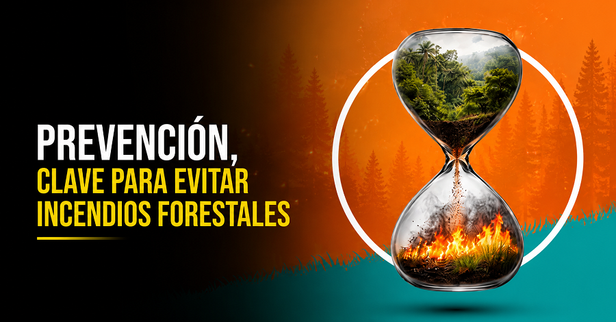 🔥 |Prevención|, clave para evitar |incendios forestales|