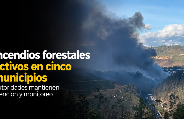 ? |Cundinamarca| mantiene atención a |incendios forestales| en cinco municipios, ¿cuál es la situación actual? + Video