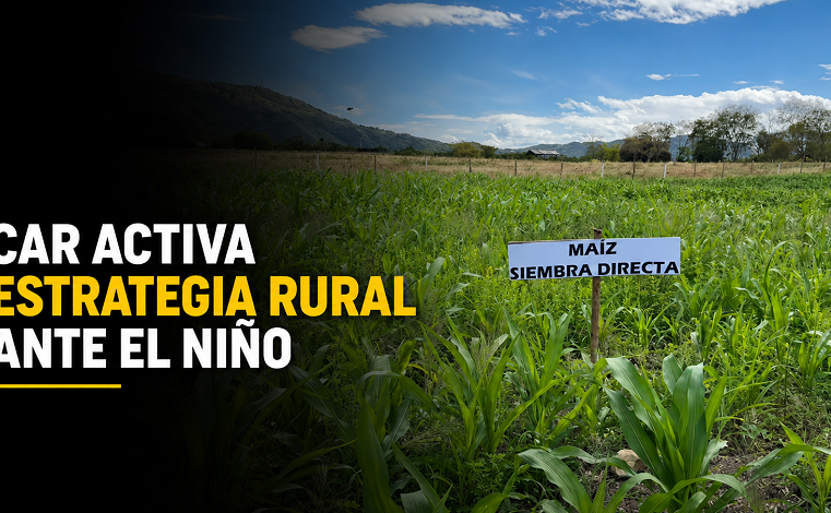 ☀️ |CAR| activa estrategia rural ante llegada de |El Niño|