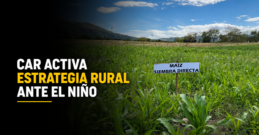 ☀️ |CAR| activa estrategia rural ante llegada de |El Niño|