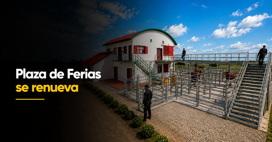 🐄 Plaza de |Ferias de Une| avanza en su renovación, ¿qué incluirá?