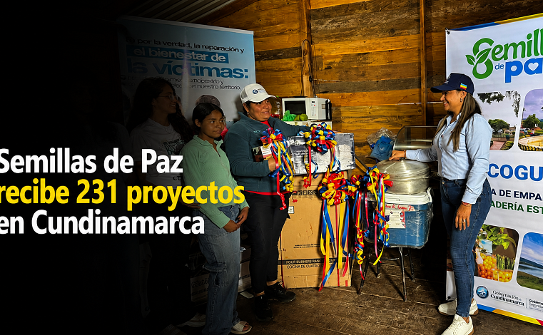 🌱 |Semillas de Paz| recibe 231 proyectos en |Cundinamarca|, ¿cuándo se conocerán los resultados?