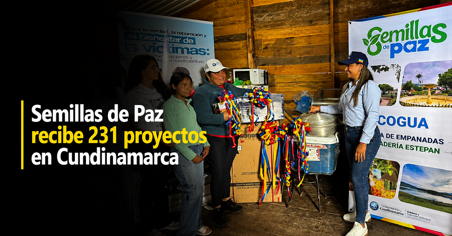 🌱 |Semillas de Paz| recibe 231 proyectos en |Cundinamarca|, ¿cuándo se conocerán los resultados?
