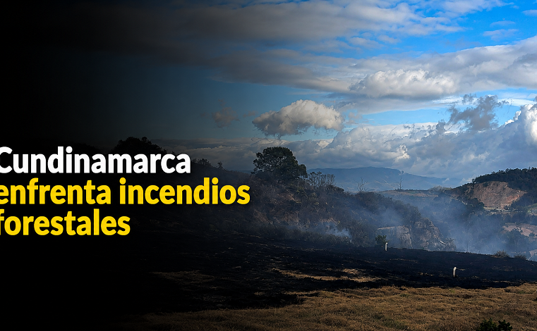 🔥 |Cundinamarca| enfrenta 362 |incendios forestales|, ¿qué municipios han sido más afectados?