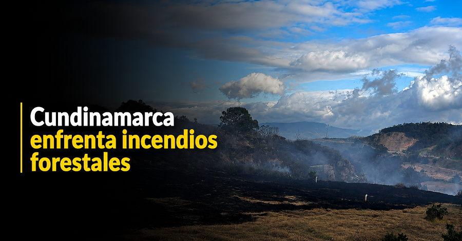 🔥 |Cundinamarca| enfrenta 362 |incendios forestales|, ¿qué municipios han sido más afectados?