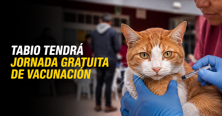 🐶🐱 |Tabio| tendrá |jornada gratuita| de |vacunación|, ¿llevará a su mascota?