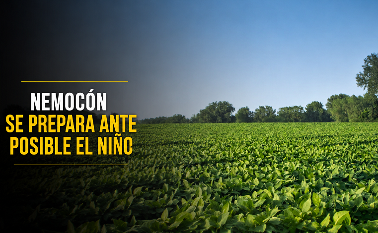 🔥 |Nemocón| se prepara ante posible |fenómeno de El Niño|