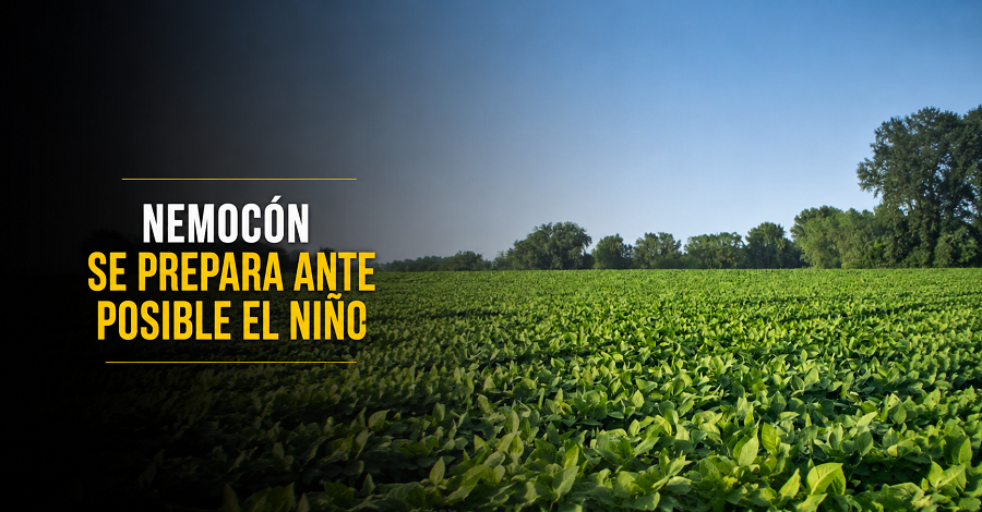 🔥 |Nemocón| se prepara ante posible |fenómeno de El Niño|