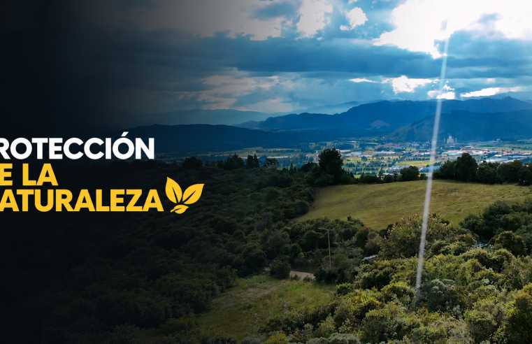? Tocancipá promueve la protección de su riqueza natural, ¿cómo contribuir? + Video