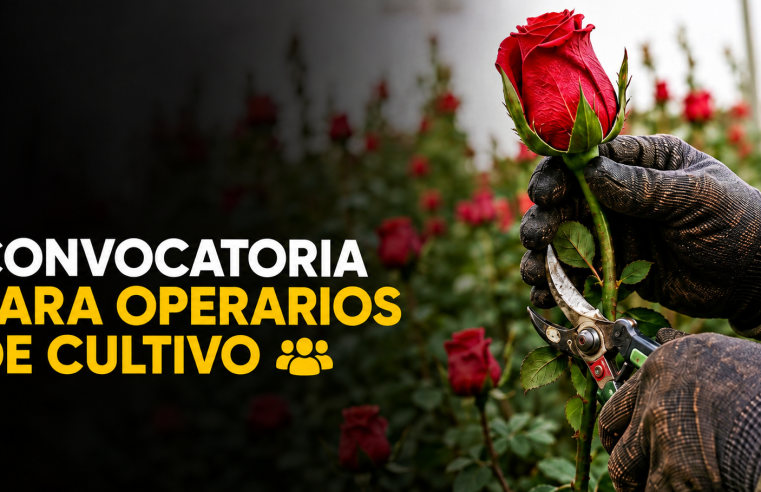 ? Abren |convocatoria laboral| para |operarios de cultivo|, ¿cómo postularse?