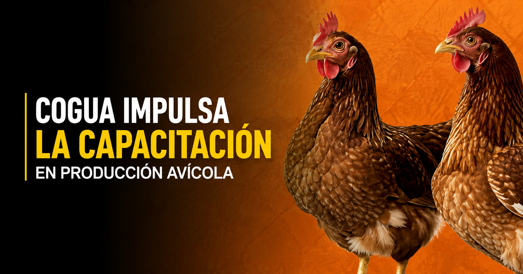 🐔 |Cogua| impulsa la capacitación en producción avícola: ¿Le gustaría aprender sobre el manejo y bienestar de las aves?