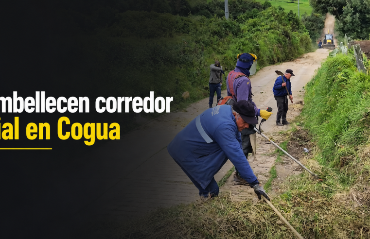 ? |Cogua| embellece corredor vial entre |La Chapa| y |Rodamontal|, ¿qué acciones se realizaron? + Video