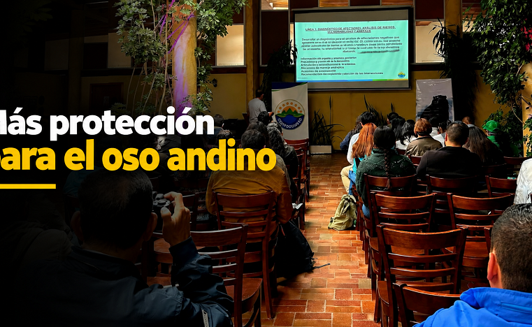 🐻🌿 |Cundinamarca| fortalece la protección del |oso andino|: ¿qué estrategias se plantearon?