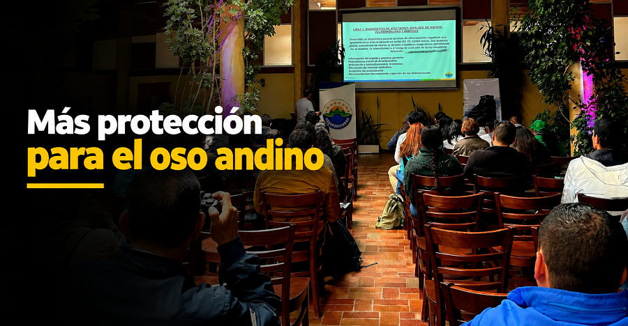 🐻🌿 |Cundinamarca| fortalece la protección del |oso andino|: ¿qué estrategias se plantearon?