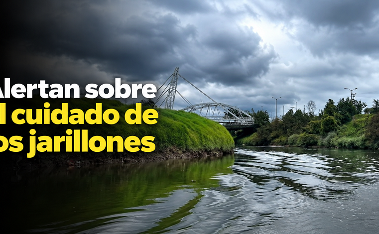 🌧️ |CAR| alerta sobre el cuidado de los jarillones, ¿por qué son importantes? + Video