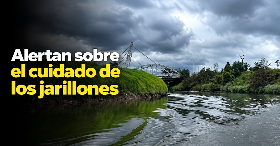 🌧️ |CAR| alerta sobre el cuidado de los jarillones, ¿por qué son importantes? + Video