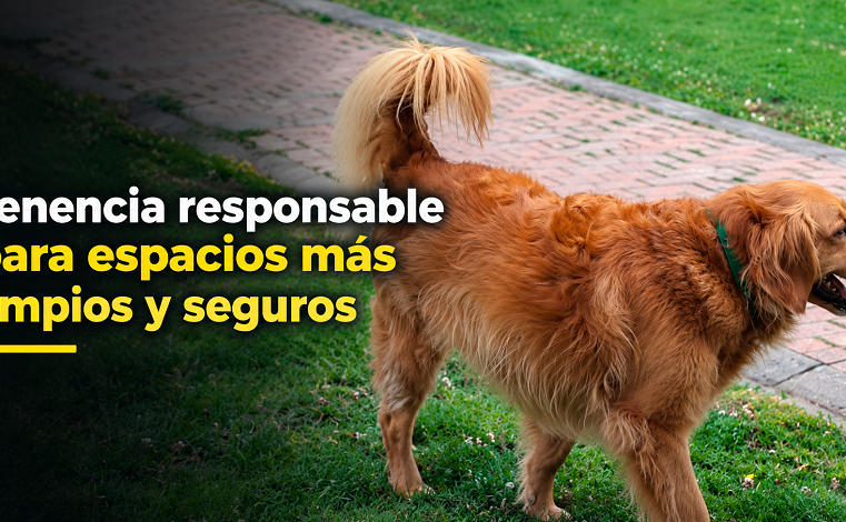 🐾 |Cajicá| promueve la tenencia responsable, ¿cómo cuidar los espacios públicos? + Video