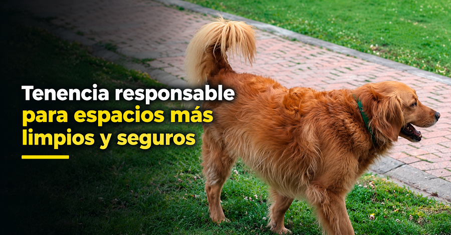 🐾 |Cajicá| promueve la tenencia responsable, ¿cómo cuidar los espacios públicos? + Video