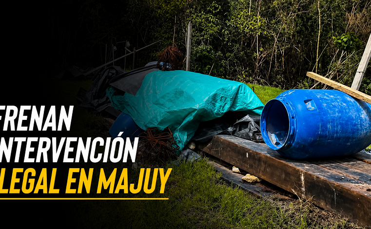 🌳 Frenan |intervención ilegal| en el |Cerro Majuy|, ¿qué actividad fue suspendida? + Video
