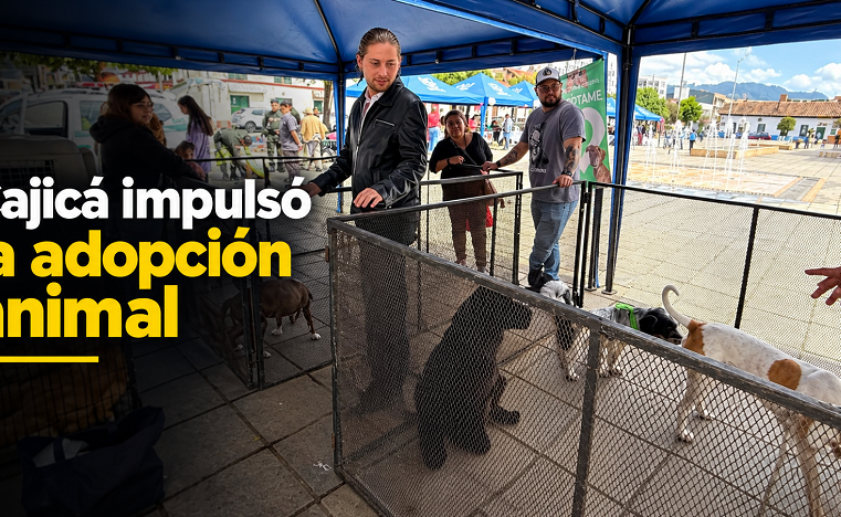 🐾🏡 |Cajicá| realizó feria de bienestar y |adopción animal|, ¿cuántos caninos encontraron un nuevo hogar?