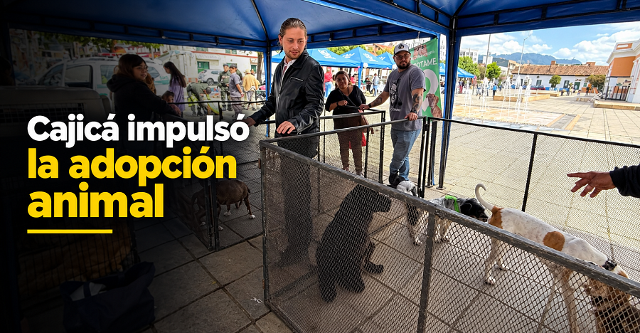 🐾🏡 |Cajicá| realizó feria de bienestar y |adopción animal|, ¿cuántos caninos encontraron un nuevo hogar?