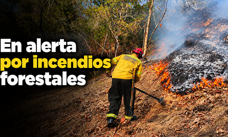 🔥🚒 |Cundinamarca| mantiene control sobre |incendios forestales|, ¿qué zonas continúan bajo vigilancia?
