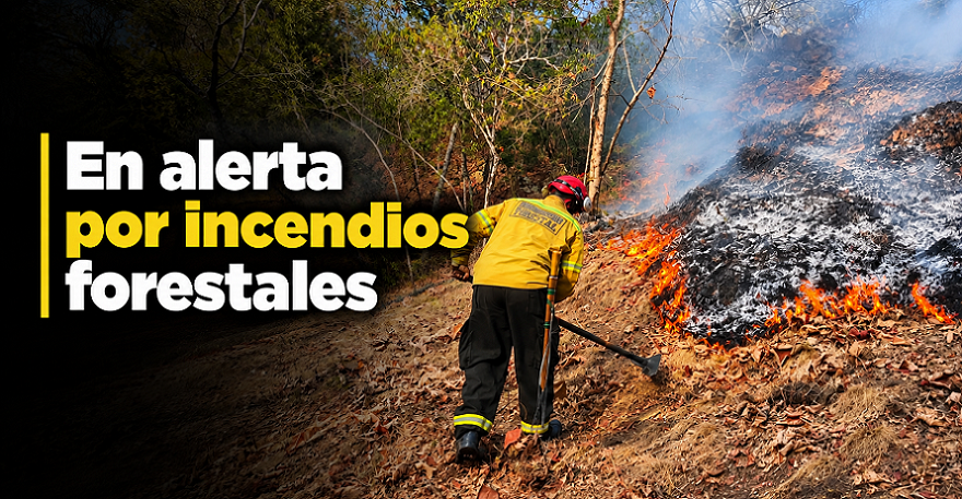 🔥🚒 |Cundinamarca| mantiene control sobre |incendios forestales|, ¿qué zonas continúan bajo vigilancia?