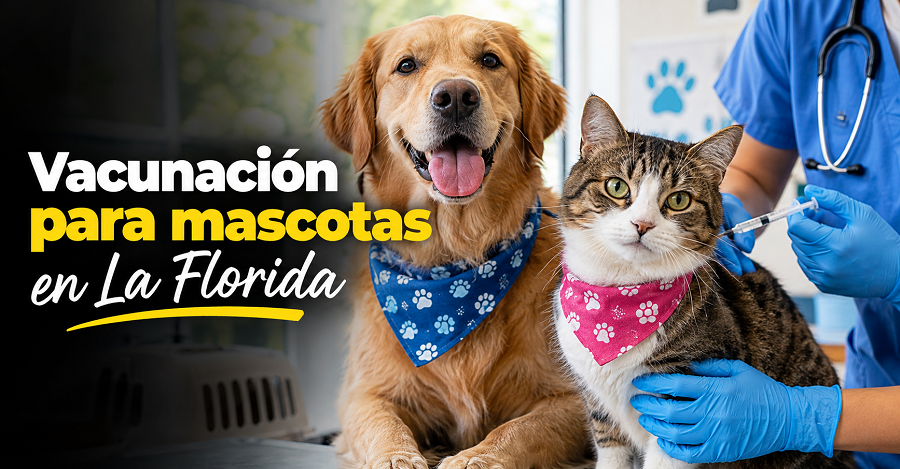 🐶💉 |Cajicá| llevará vacunación para perros y gatos a La Florida, ¿cuándo será la jornada?
