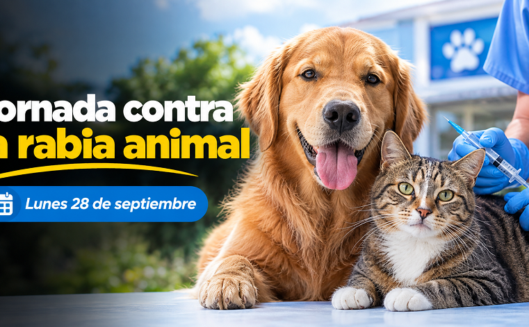 🐾💉 |Cogua| realizará jornada contra la rabia para animales de compañía, ¿cuándo será?